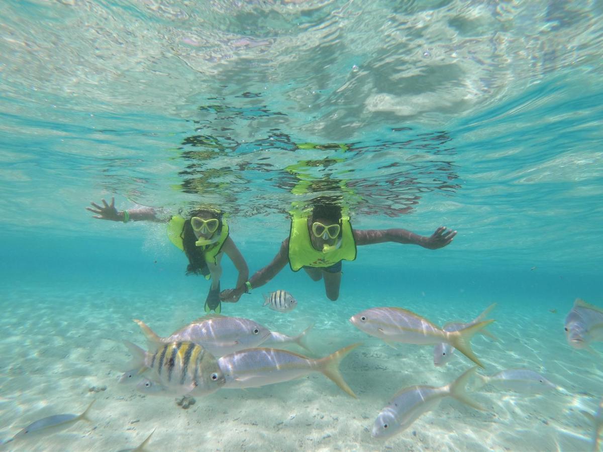 פונטה רוסיה Paradise Island Beach Resort מראה חיצוני תמונה